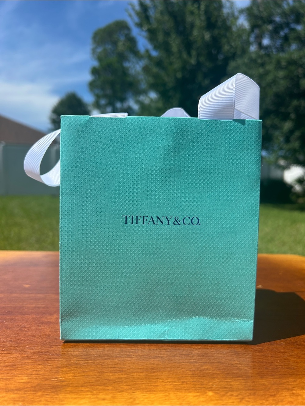 Tiffany & Co. gift bag ~5.75”x5”x3”